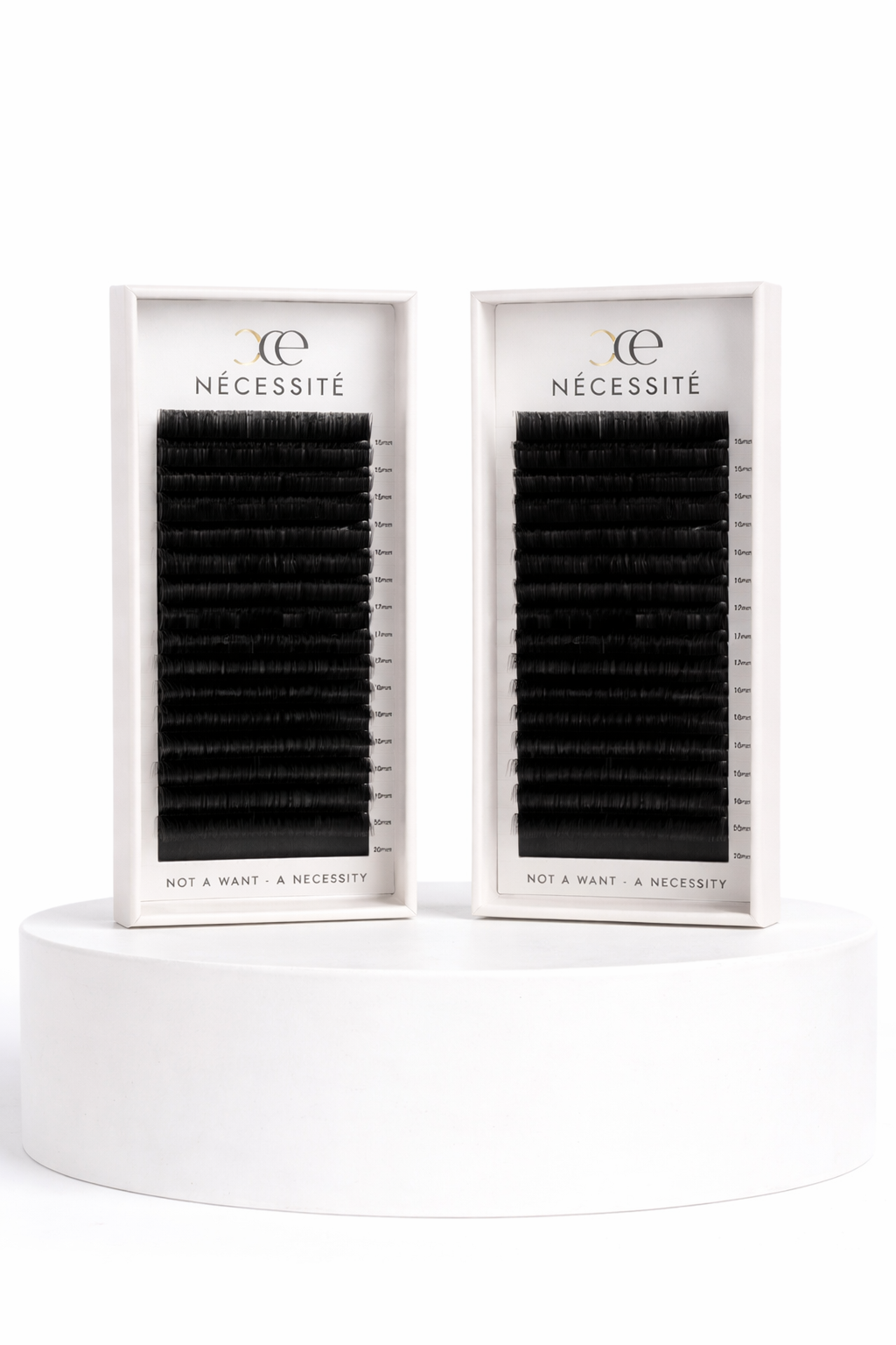 The Nécessité Duo